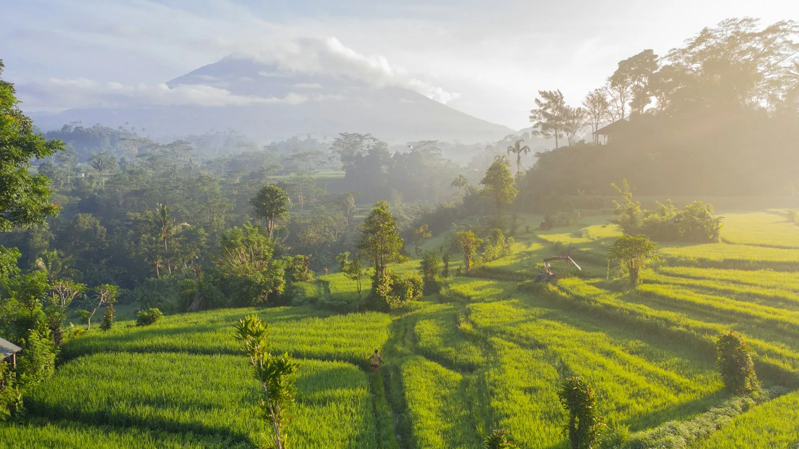 Rizières en terrasses à Bali, destination au budget très variable selon le style de voyage