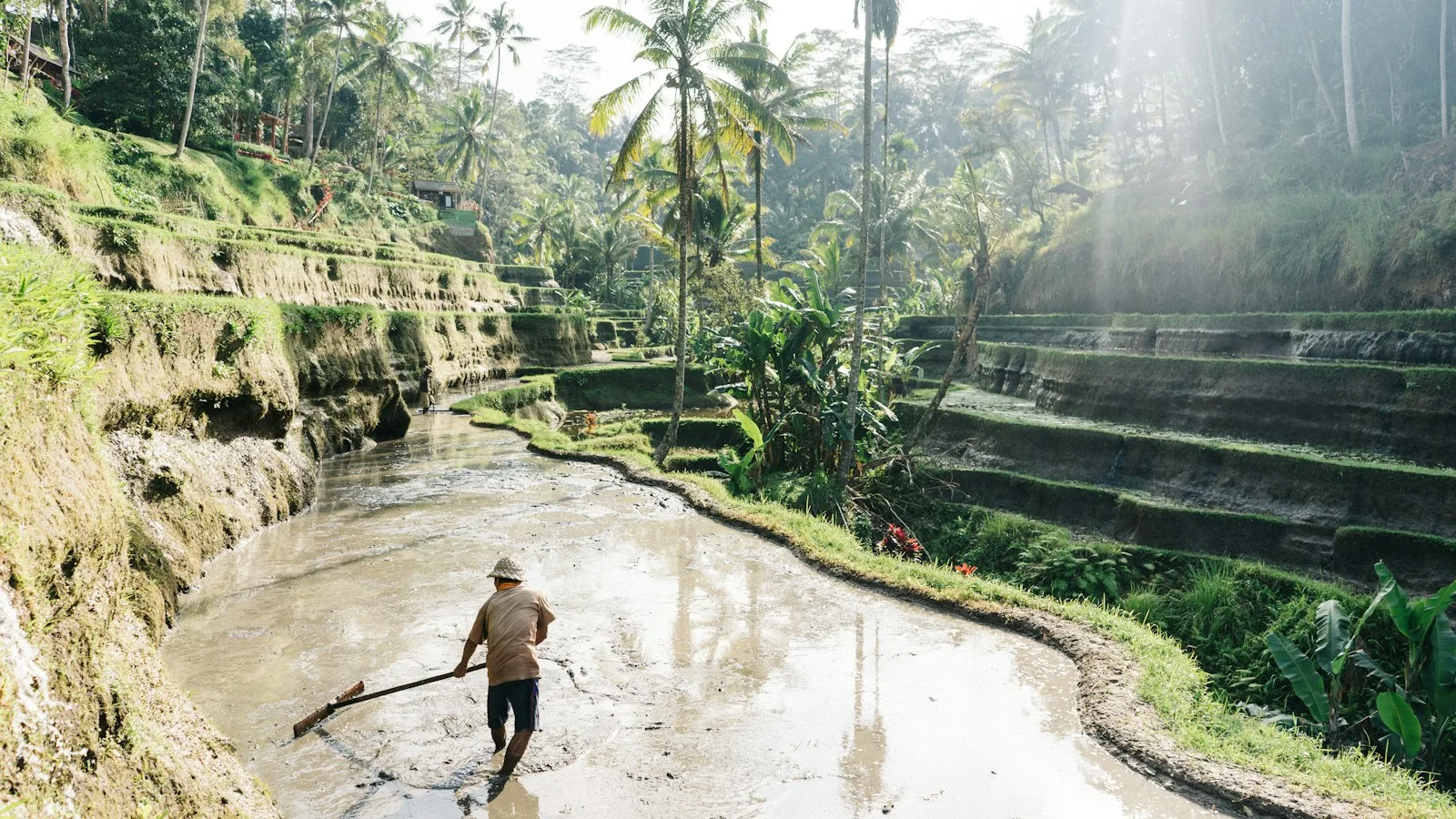 Jours 7 à 10 : Ubud et le centre de Bali