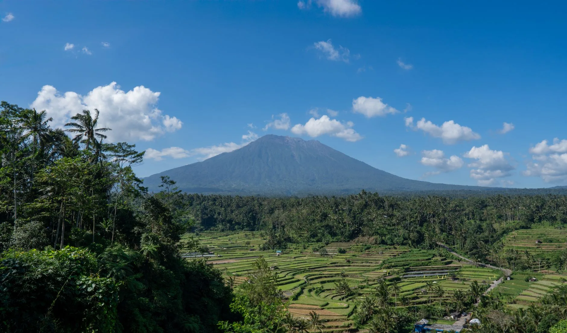 Rizières en terrasses et volcan sous un ciel dégagé à Bali, en saison sèche